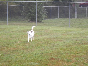 Airy Pines means Play Time