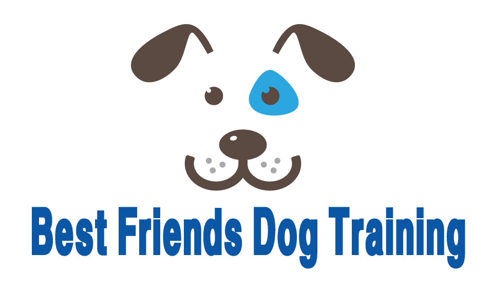 Best Friends Dog Training in Pittsburgh, PA